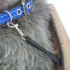 Transporteur pour animaux de compagnie à parois souples avec coussinet intérieur ajustable