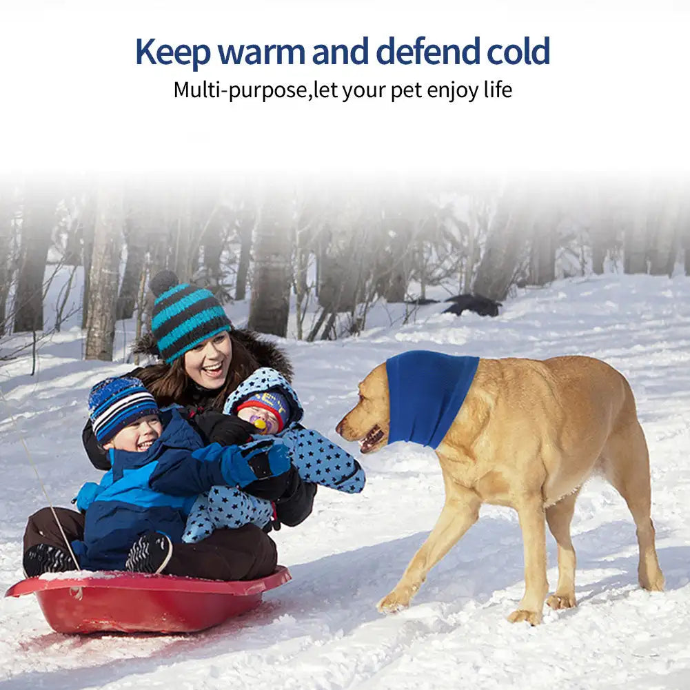 A golden dog is outdoors in the snow next to a person, demonstrating pet anxiety relief ear and neck muffs.