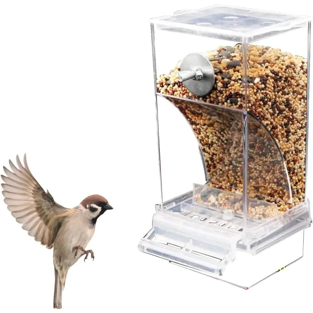 Stainless Steel Automatic Bird Feeder and Drinker for Parakeets
