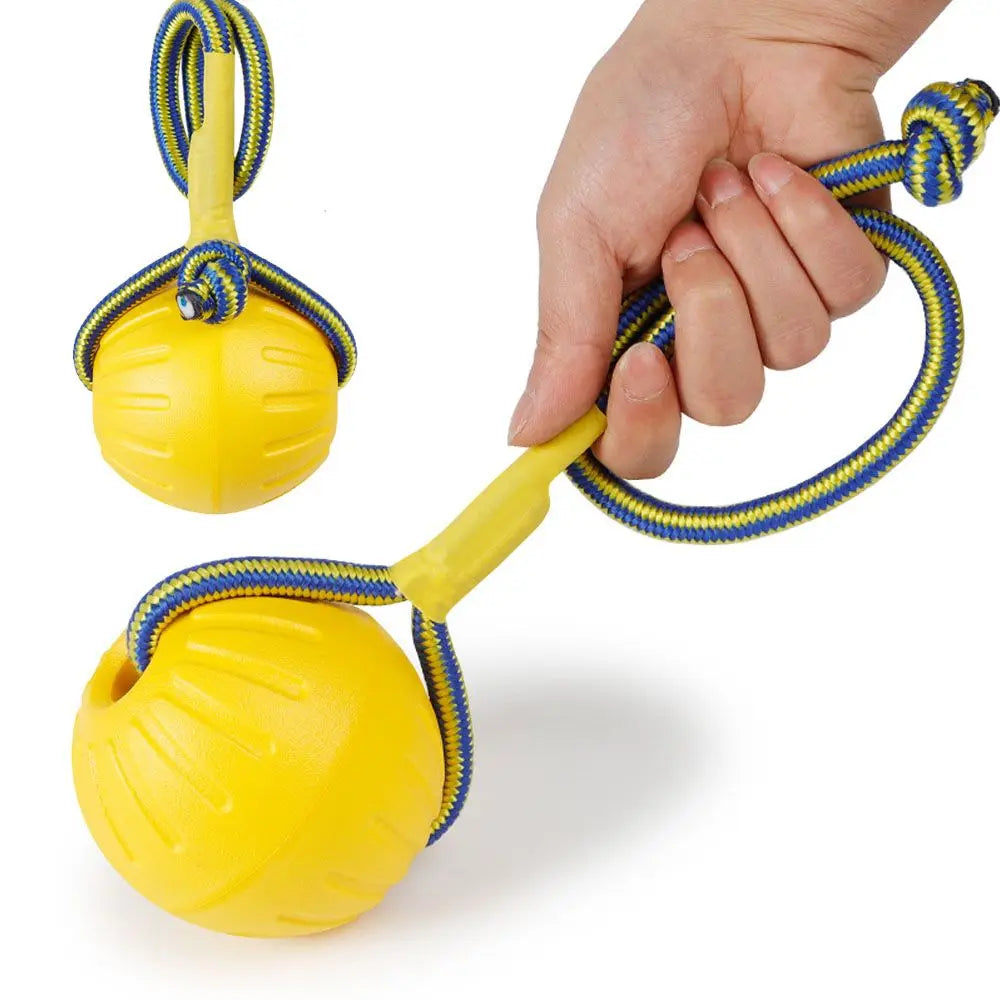 Durable Rubber Fetch Ball for Dogs and Cats