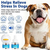 Cat Calming Pheromone Diffuser Kit with 2 Refills