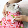 Cat Recovery Vest – Soft Anti-Licking Protector for Post-Surgery Care