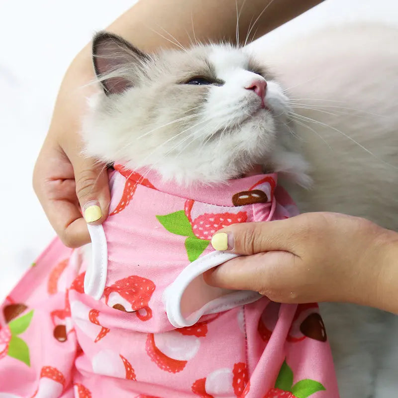 Cat Recovery Vest – Soft Anti-Licking Protector for Post-Surgery Care