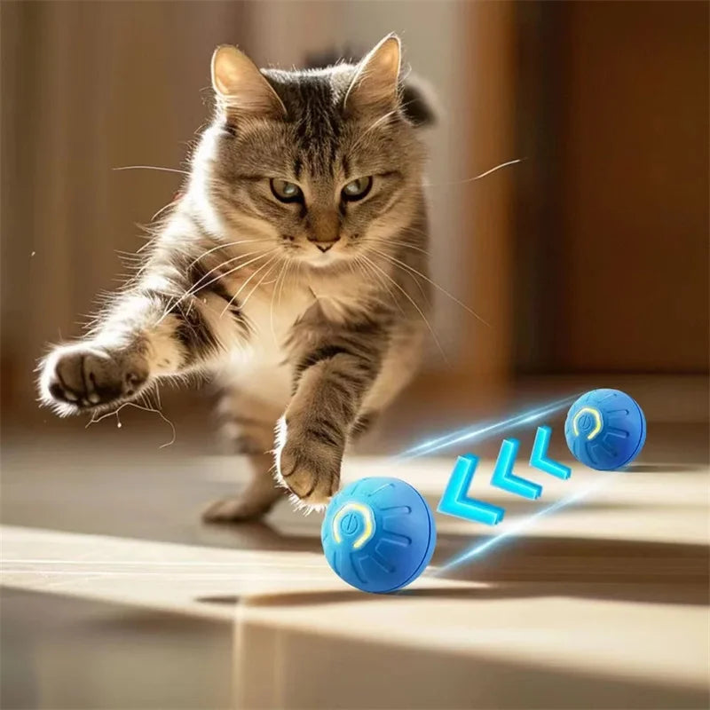 Intelligenter Smart-Ball für Hunde mit zufälliger Bewegung