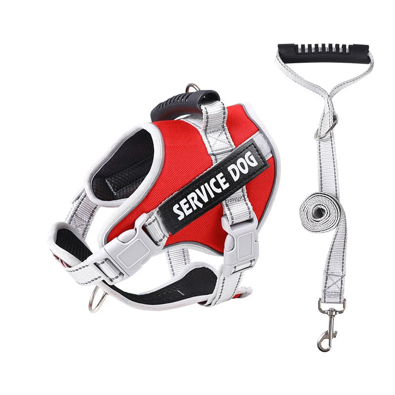 A red and silver reflective dog harness with the text SERVICE DOG is shown alongside its leash.