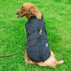 Impermeable para Perro con Arnés Integrado