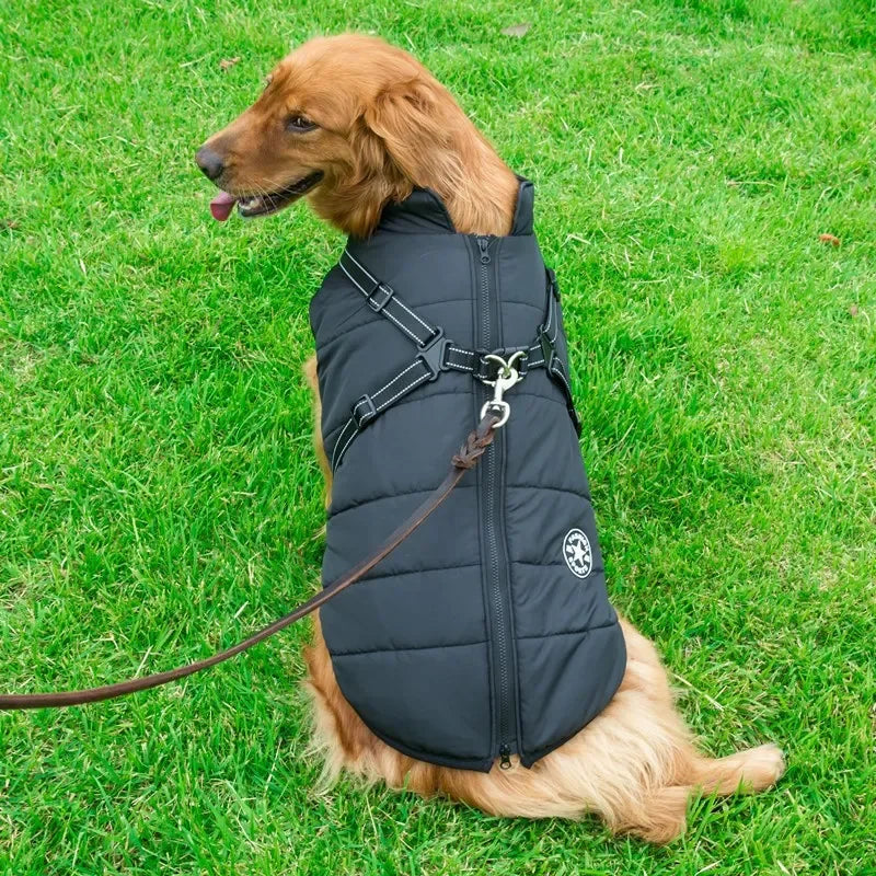 Impermeable para Perro con Arnés Integrado
