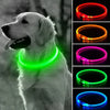 Rechargeable LED Dog Collar with USB Charging