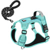 A turquoise dog harness with a black leash and Airtag holder is shown against a white background.