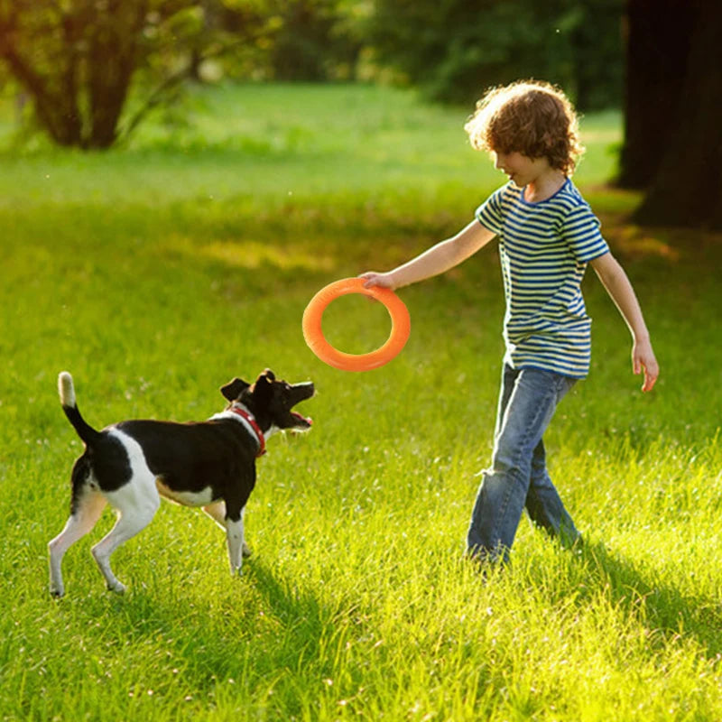 Anneau d'entraînement et disque volant en caoutchouc durable pour chien