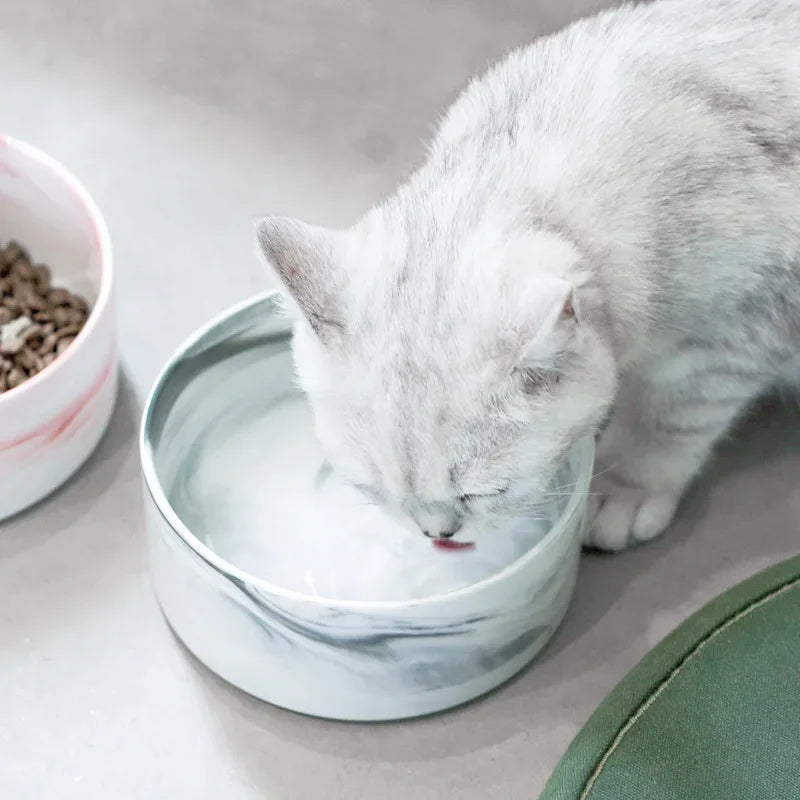 A gray kitten is licking white food from a marbled ceramic double pet bowl.
