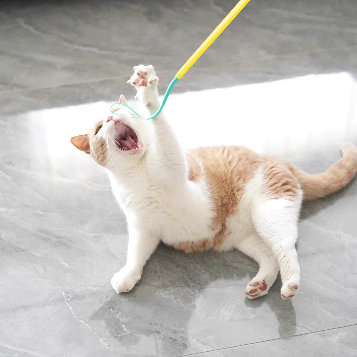 A white and orange cat is playfully chasing a yellow and blue silicone wand toy.