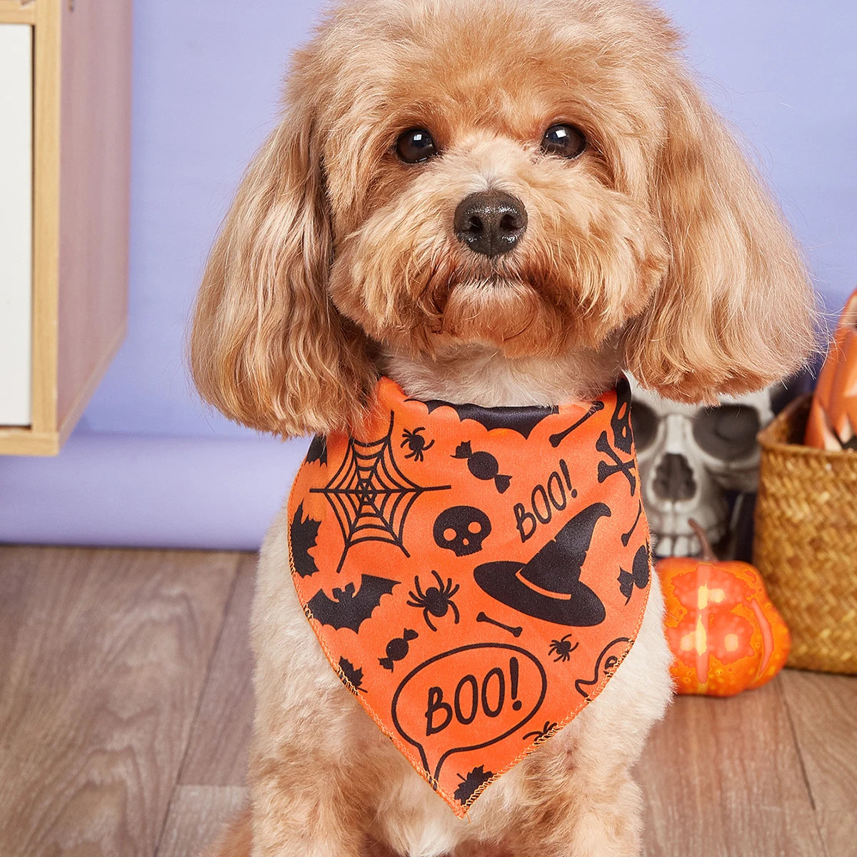 Halloween Dog Bandana with Pumpkin and Spider Web Design