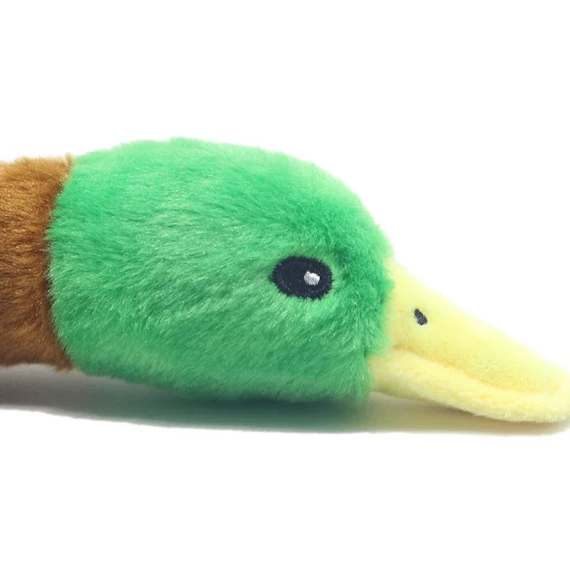 A plush toy of a duck with green feathers and a yellow beak, featuring a chew rope.