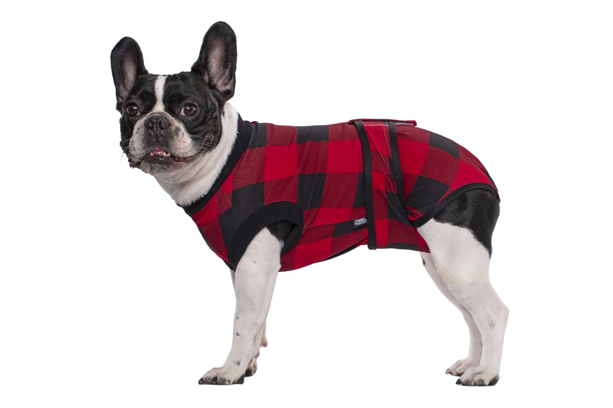 A black and white dog wearing a red and black plaid post-surgery recovery suit.