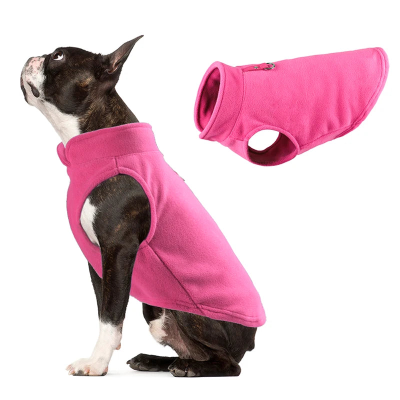 A black and white dog wearing a bright pink fleece vest with a built-in harness ring.