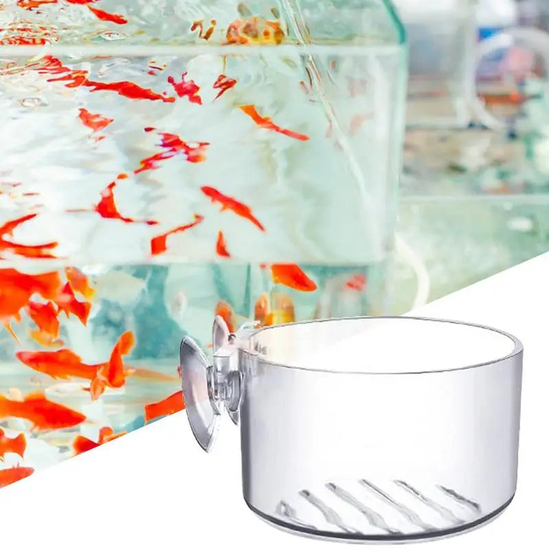 Acrylic Aquarium Plant Cup with Suction Holder