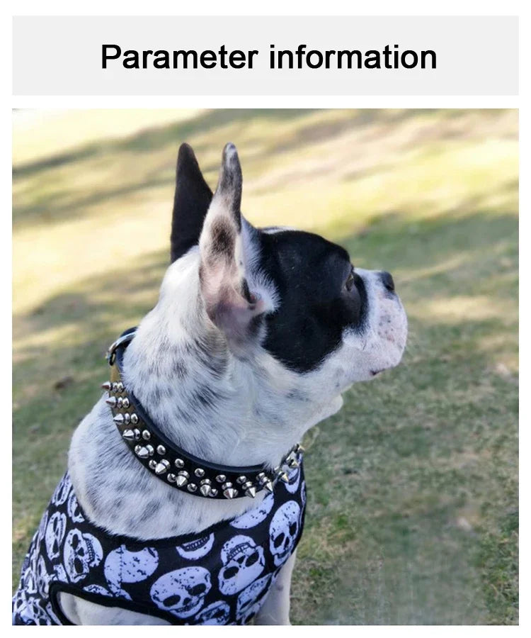 Punk Rivet Spiked Leather Dog Collar
