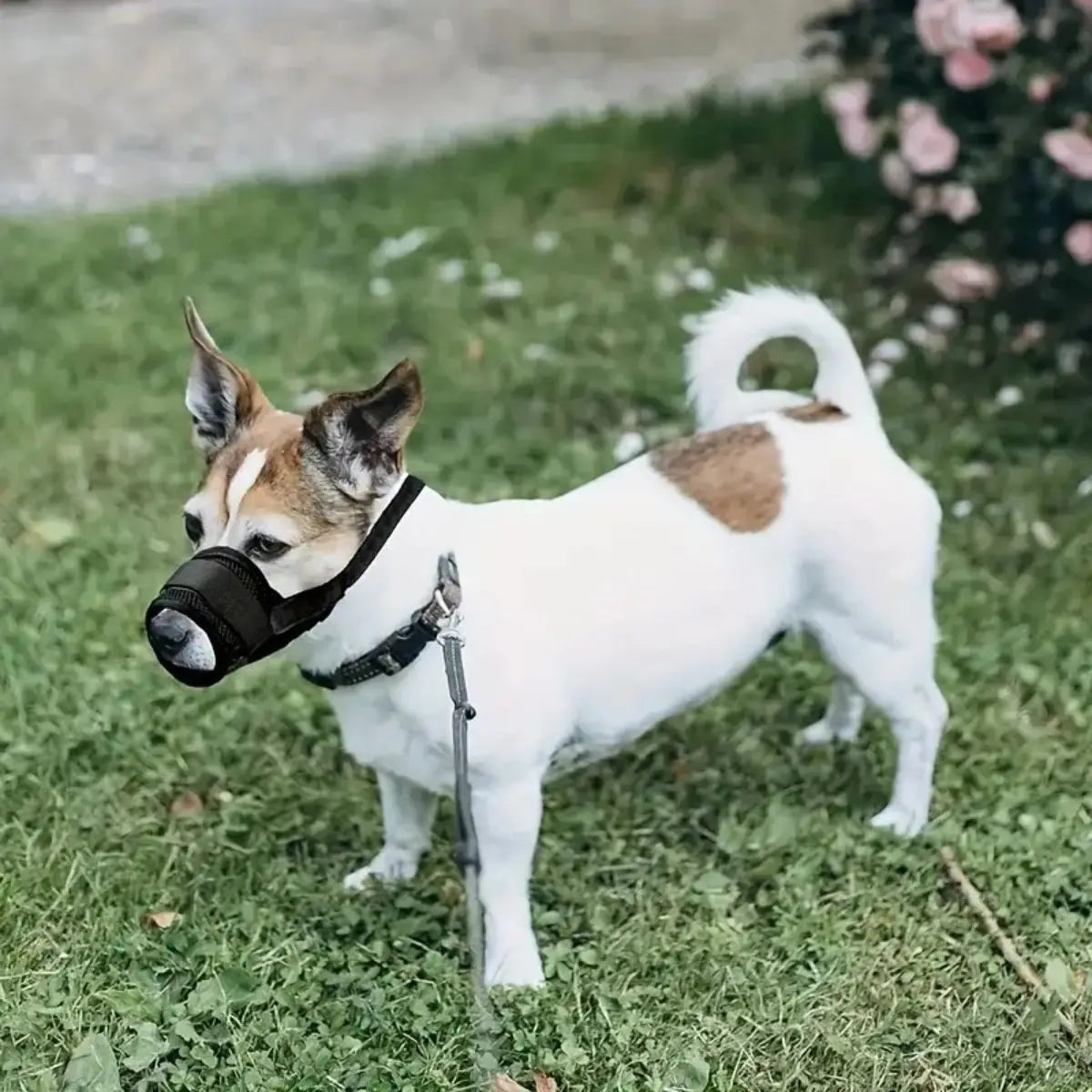 Breathable Dog Muzzle for Anti-Biting and Anti-Licking