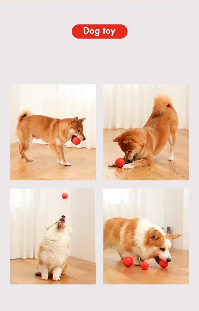 Four dogs of various breeds playing with red rubber dog balls indoors.