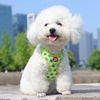 Strawberry Print Dog Harness and Leash Set