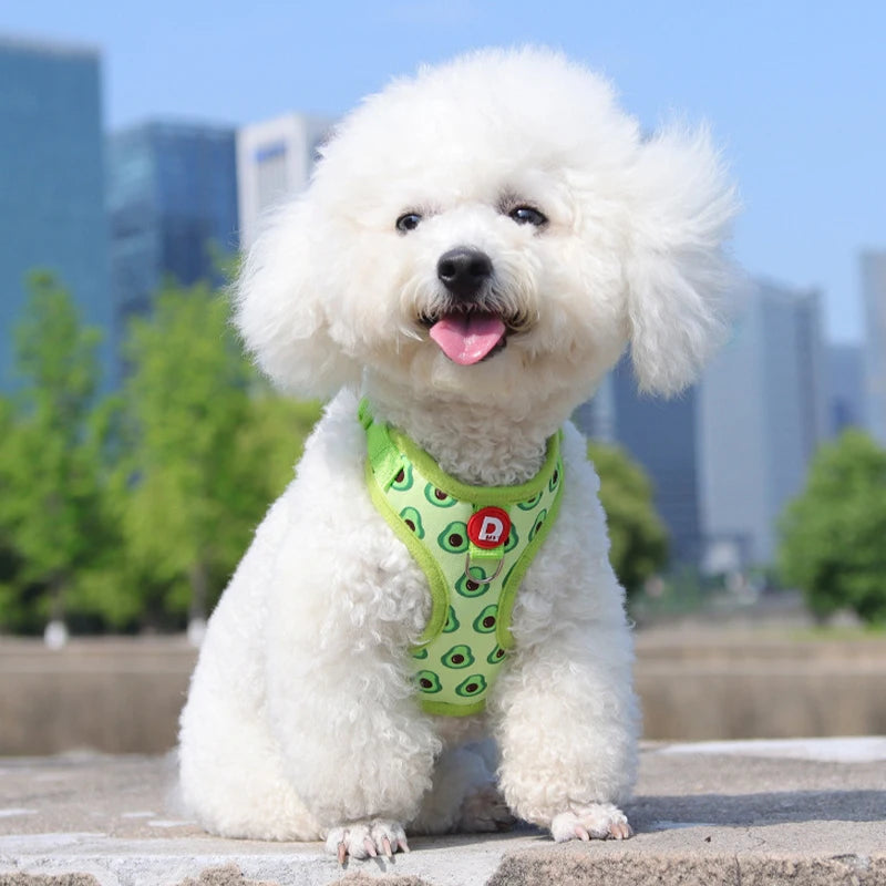 Strawberry Print Dog Harness and Leash Set