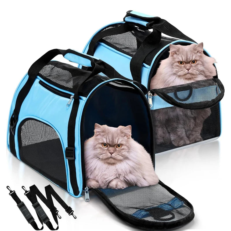 A light blue portable foldable pet carrier for a cat is shown with accessories.