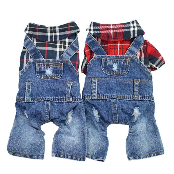 Mono de Pet con Capucha y Estampado Vaquero