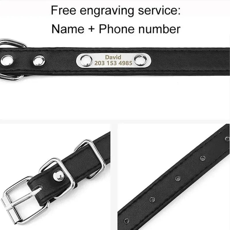 Black PU leather dog collar with a custom engraved nameplate reading David 203 153 4985