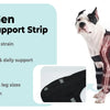 A white and black dog is shown wearing a built-in metal support strip on its front leg.