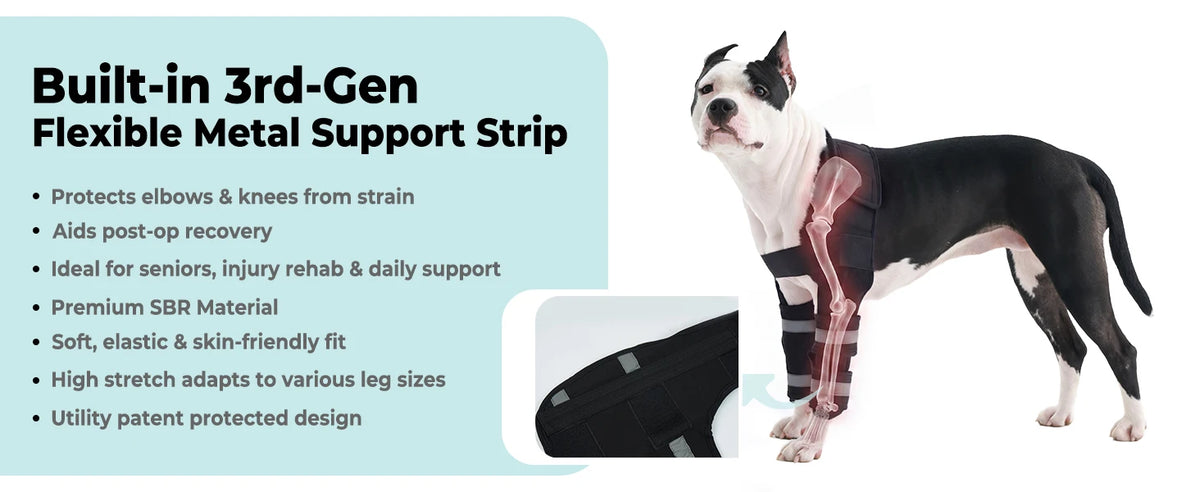 A white and black dog is shown wearing a built-in metal support strip on its front leg.