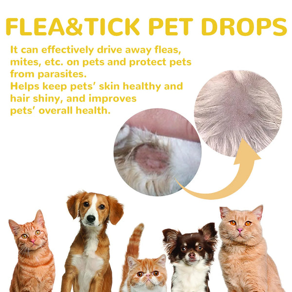Cat Flea Drops for Itch Relief and Tick Prevention