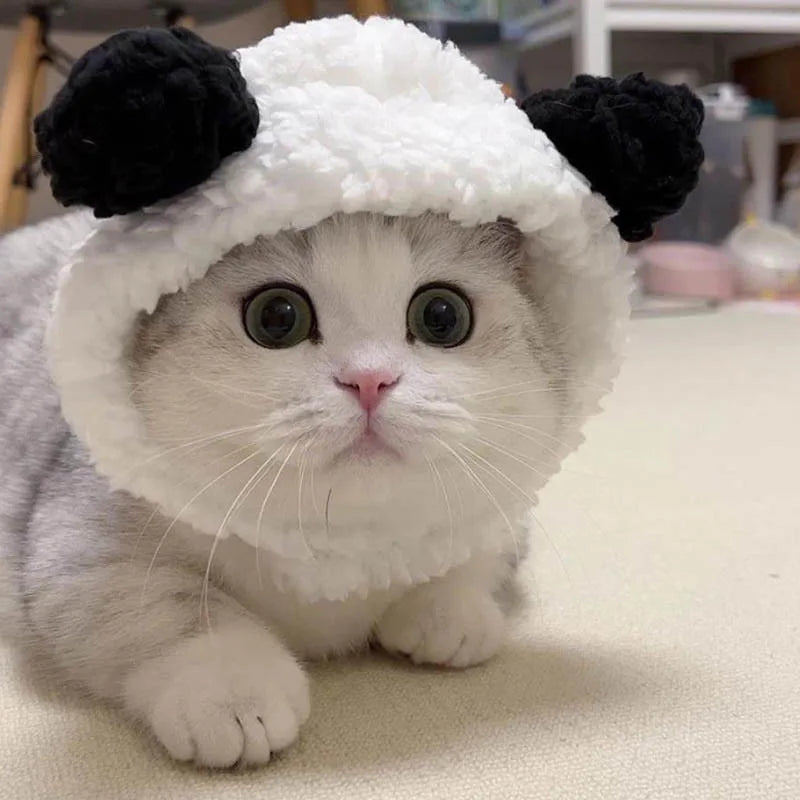 Adorable Pet Hat for Cats and Small Dogs