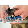 Hands are holding a blue silicone pet toothbrush with soft bristles for gentle cleaning on a dog's snout.
