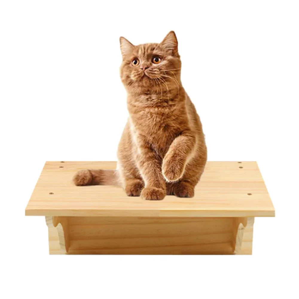 A fluffy brown cat is sitting on a wooden wall-mounted cat tree and hammock.