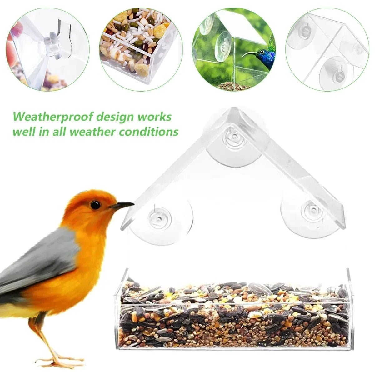 Window Bird Feeder with Suction Cups