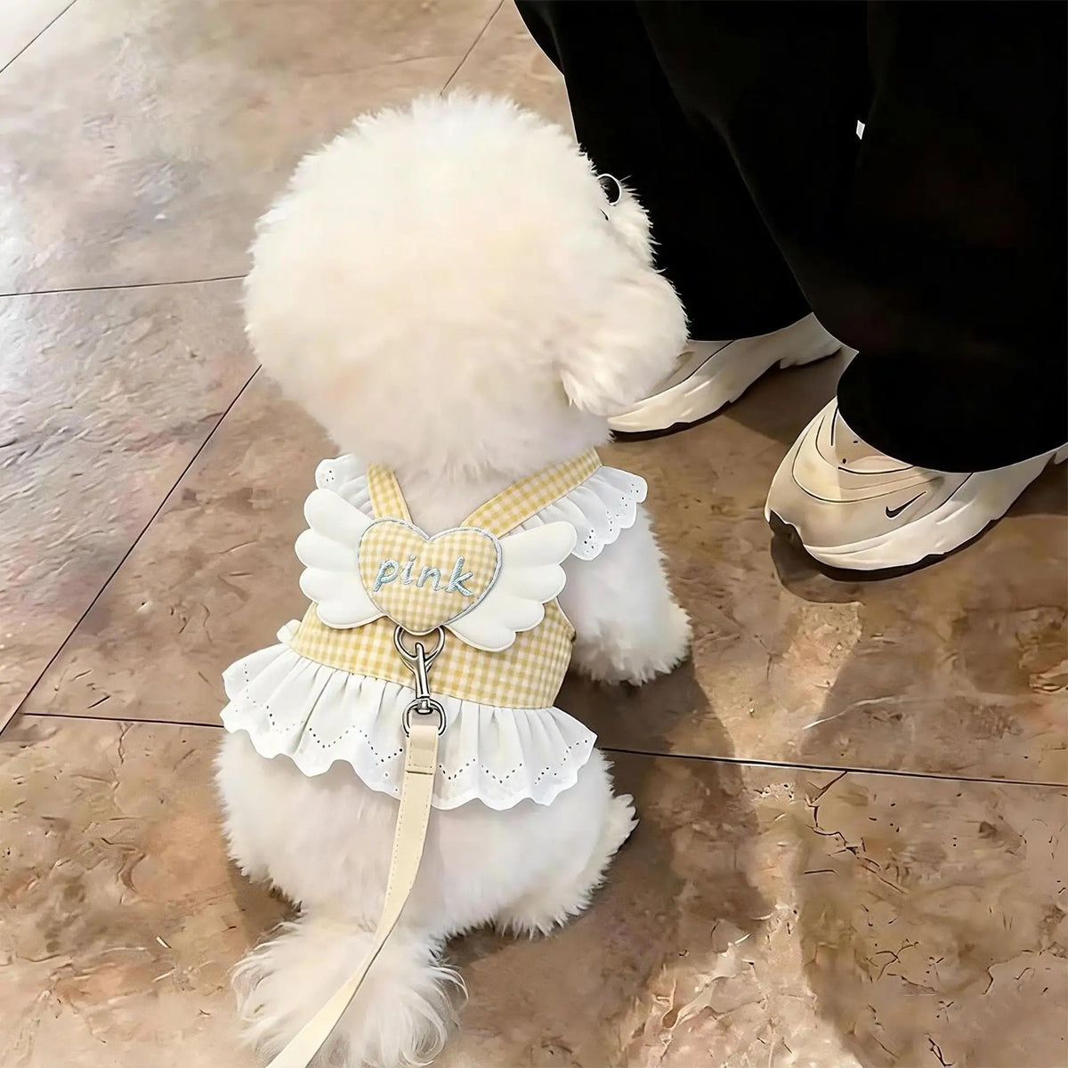 A fluffy white dog wearing a pink lace ruffle plaid harness vest with an angel heart design.