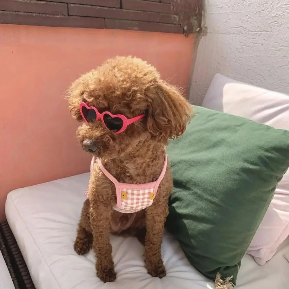 Fashion Pet Sunglasses with Heart-Shaped Jewelry Accents for Dogs & Cats
