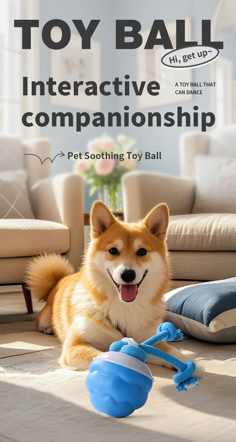 Interactive Rolling Dog Ball with Motion Sensor and Rope