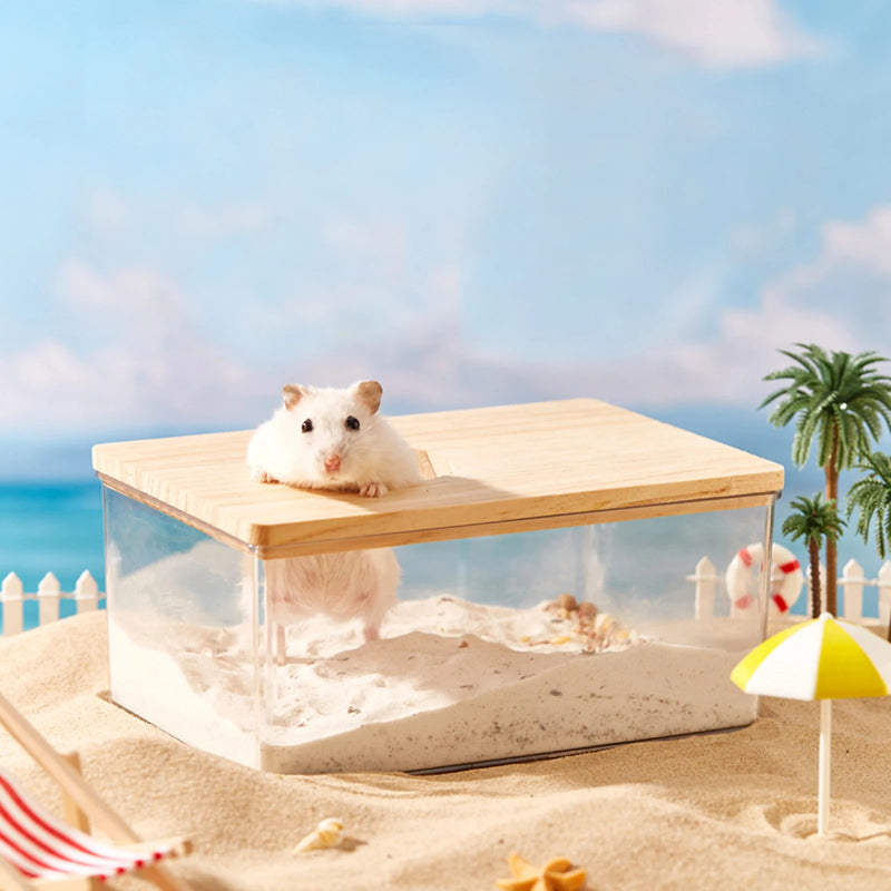 Bac à sable en acrylique transparent pour hamster