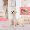 Highly Absorbent Disposable Pet Training Pads with Leak-Proof Protection