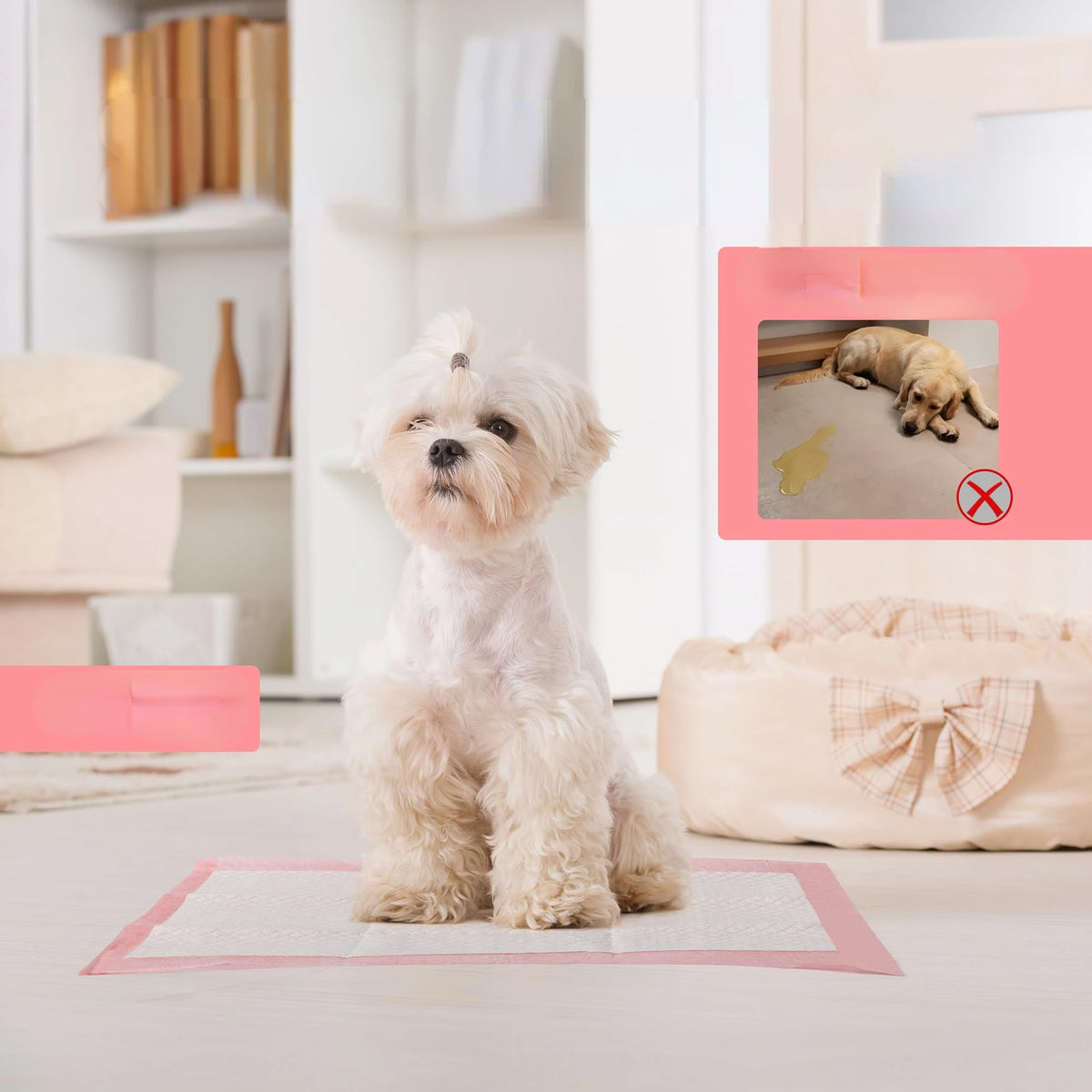 Highly Absorbent Disposable Pet Training Pads with Leak-Proof Protection