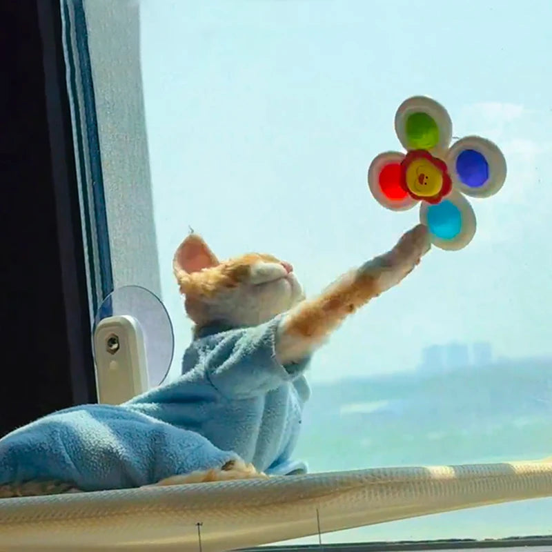 Set de 3 Juguetes para el Baño del Gato