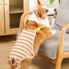 Adjustable Dog Diaper Pants with Suspenders