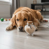 A golden retriever lies on a wooden surface next to a glass jar filled with pet hair.