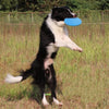 Interactive Silicone Flying Saucer Pet Toy
