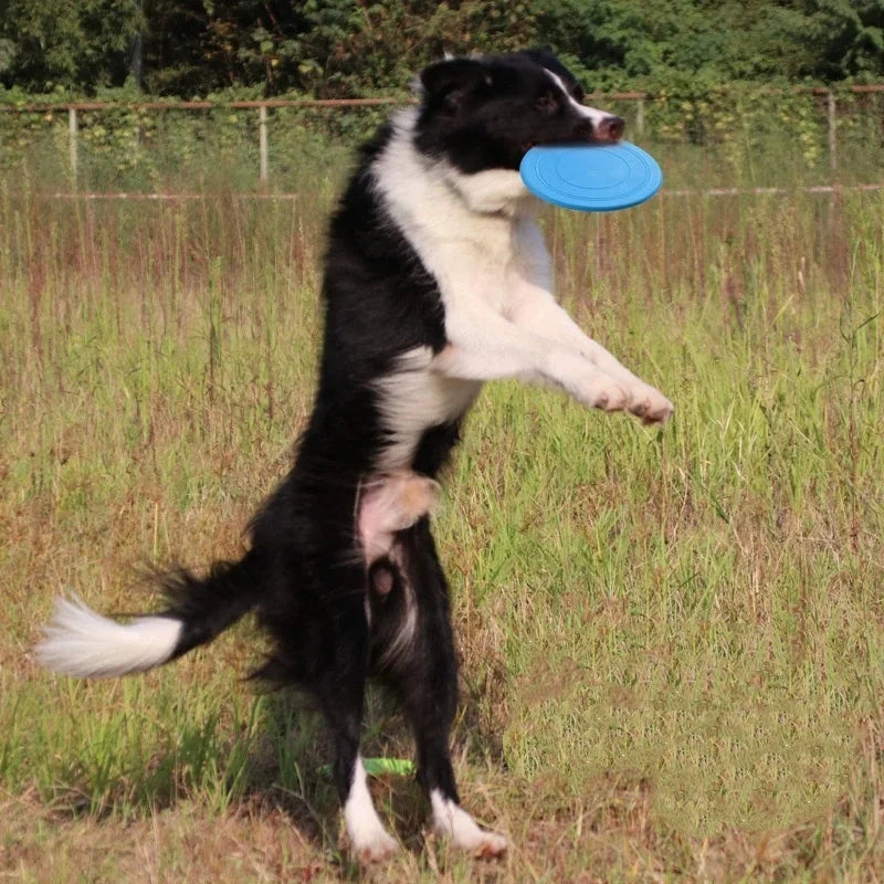 Interactive Silicone Flying Saucer Pet Toy