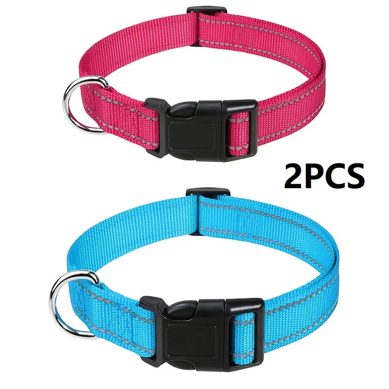 Decorative Nylon Dog Collar with Buckle Closure