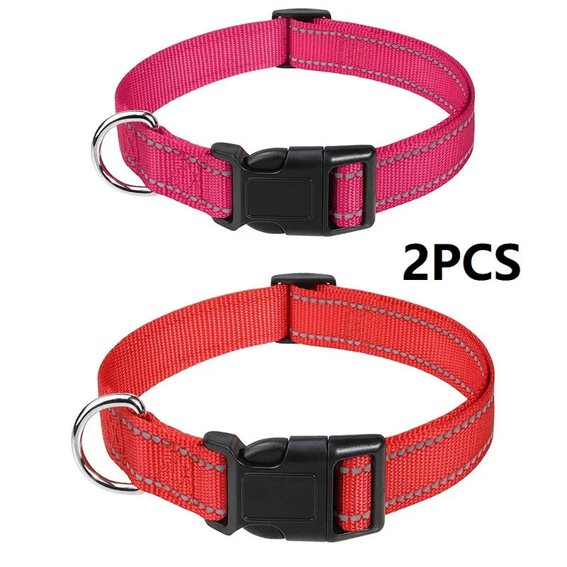 Decorative Nylon Dog Collar with Buckle Closure