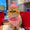 Happy Birthday Pet Party Hat and Bib Set